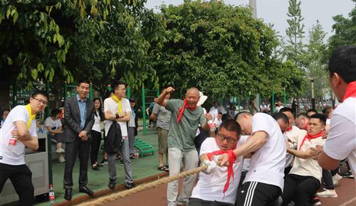 有阳光、微风、草地的运动会，拼搏在线玩嗨了！